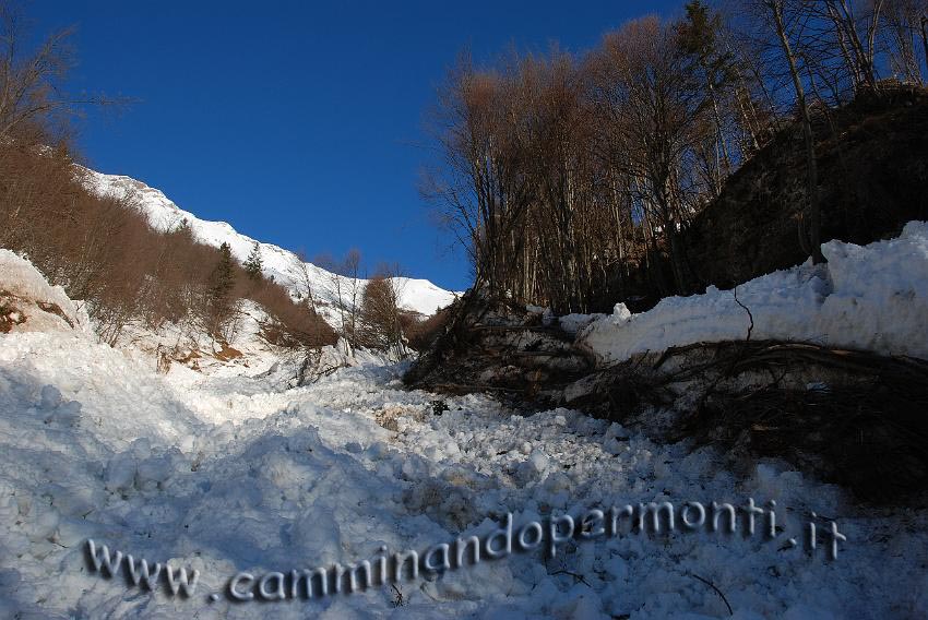 03 Slavina dalla Val Carnera.JPG
